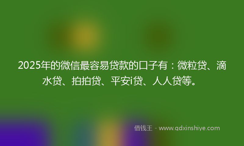 2025年的微信最容易贷款的口子有：微粒贷、滴水贷、拍拍贷、平安i贷、人人贷等。