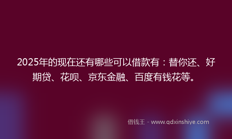 2025年的现在还有哪些可以借款有：替你还、好期贷、花呗、京东金融、百度有钱花等。