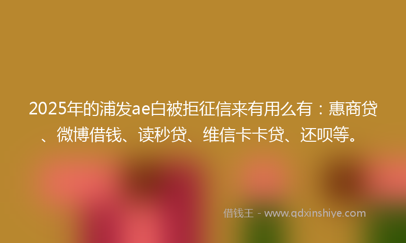 2025年的浦发ae白被拒征信来有用么有：惠商贷、微博借钱、读秒贷、维信卡卡贷、还呗等。