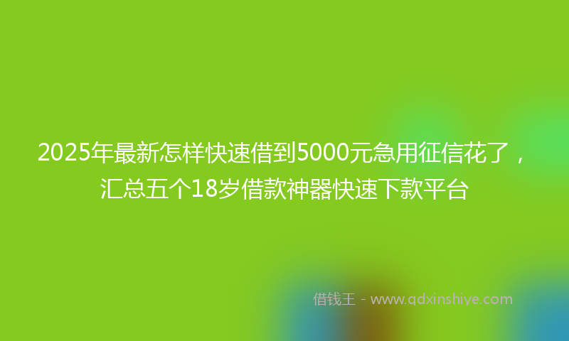 2025年最新怎样快速借到5000元急用征信花了，汇总五个18岁借款神器快速下款平台