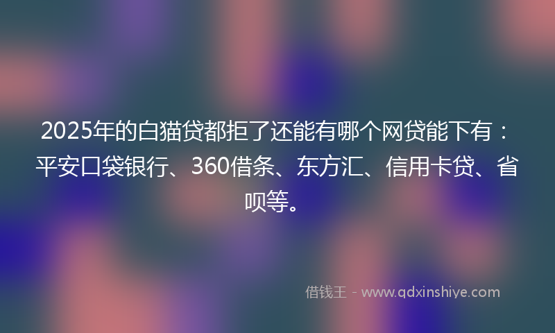 2025年的白猫贷都拒了还能有哪个网贷能下有：平安口袋银行、360借条、东方汇、信用卡贷、省呗等。