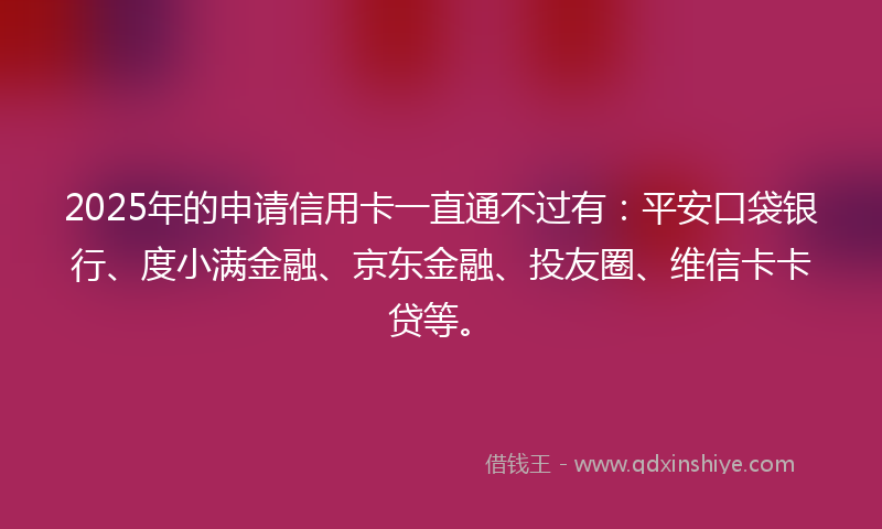 2025年的申请信用卡一直通不过有：平安口袋银行、度小满金融、京东金融、投友圈、维信卡卡贷等。