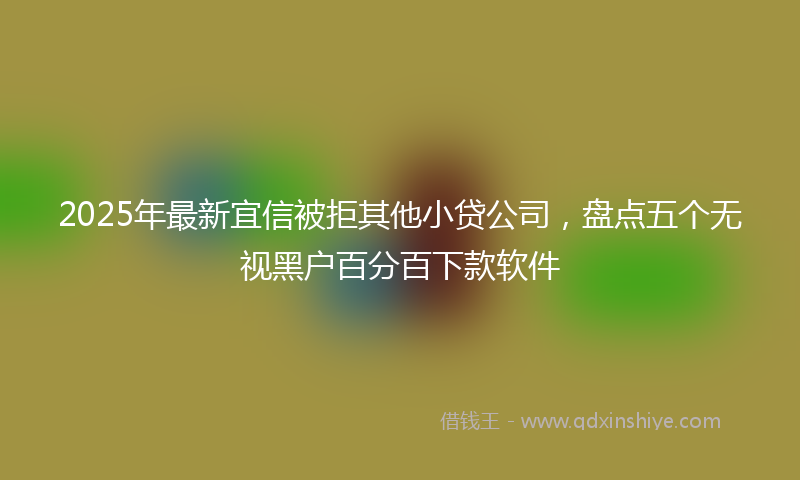 2025年最新宜信被拒其他小贷公司，盘点五个无视黑户百分百下款软件