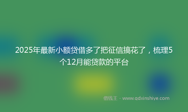 2025年最新小额贷借多了把征信搞花了，梳理5个12月能贷款的平台