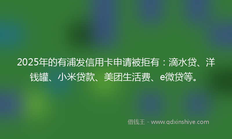 2025年的有浦发信用卡申请被拒有：滴水贷、洋钱罐、小米贷款、美团生活费、e微贷等。