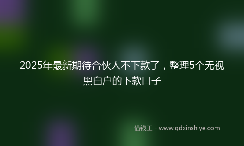 2025年最新期待合伙人不下款了，整理5个无视黑白户的下款口子