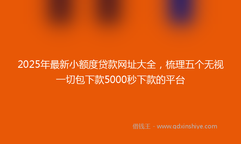 2025年最新小额度贷款网址大全，梳理五个无视一切包下款5000秒下款的平台
