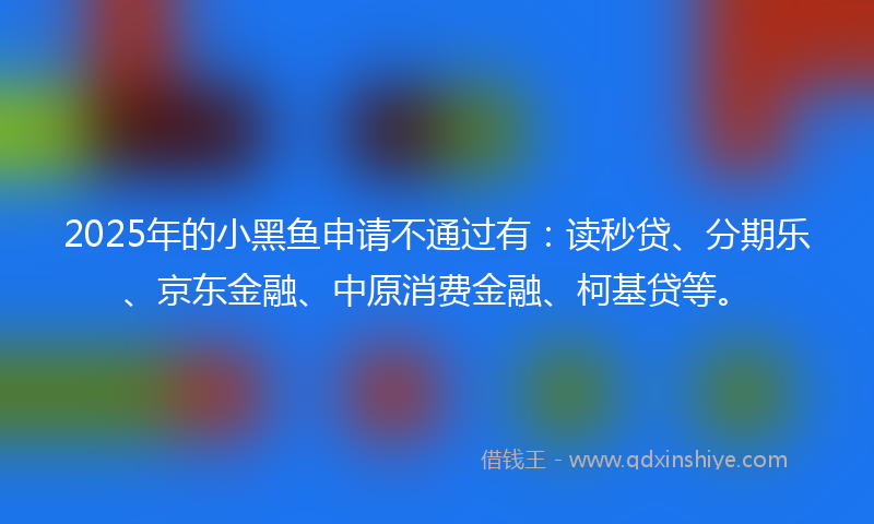2025年的小黑鱼申请不通过有：读秒贷、分期乐、京东金融、中原消费金融、柯基贷等。