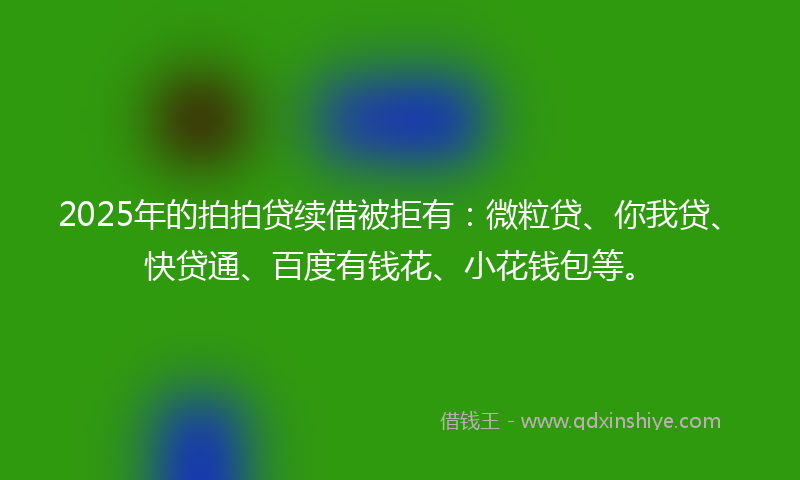 2025年的拍拍贷续借被拒有：微粒贷、你我贷、快贷通、百度有钱花、小花钱包等。