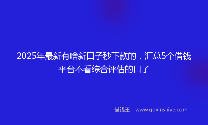 2025年最新有啥新口子秒下款的，汇总5个借钱平台不看综合评估的口子
