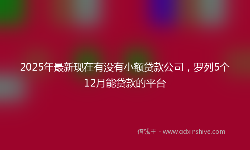 2025年最新现在有没有小额贷款公司，罗列5个12月能贷款的平台