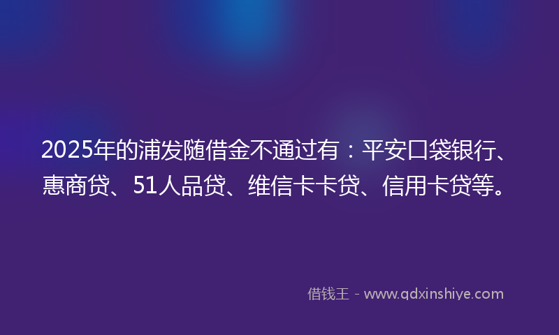 2025年的浦发随借金不通过有：平安口袋银行、惠商贷、51人品贷、维信卡卡贷、信用卡贷等。