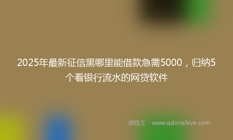 2025年最新征信黑哪里能借款急需5000，归纳5个看银行流水的网贷软件