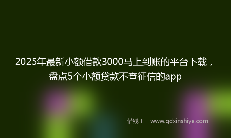 2025年最新小额借款3000马上到账的平台下载，盘点5个小额贷款不查征信的app