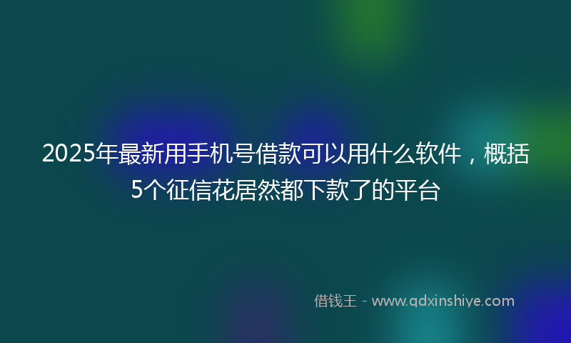 2025年最新用手机号借款可以用什么软件，概括5个征信花居然都下款了的平台
