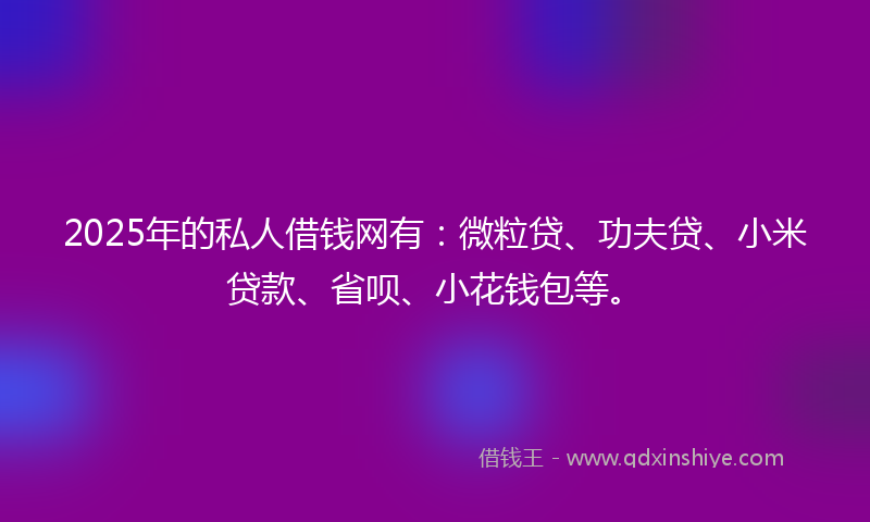 2025年的私人借钱网有：微粒贷、功夫贷、小米贷款、省呗、小花钱包等。