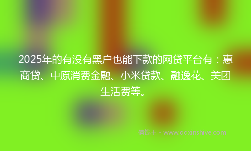 2025年的有没有黑户也能下款的网贷平台有：惠商贷、中原消费金融、小米贷款、融逸花、美团生活费等。