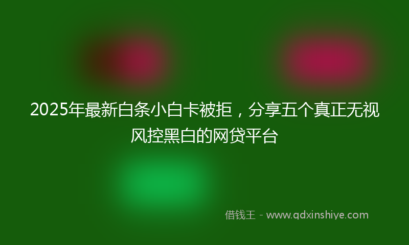 2025年最新白条小白卡被拒，分享五个真正无视风控黑白的网贷平台