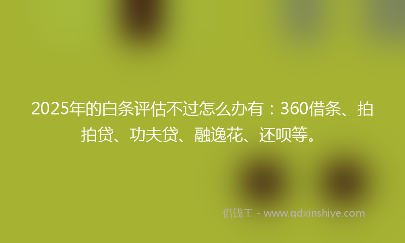 2025年的白条评估不过怎么办有：360借条、拍拍贷、功夫贷、融逸花、还呗等。