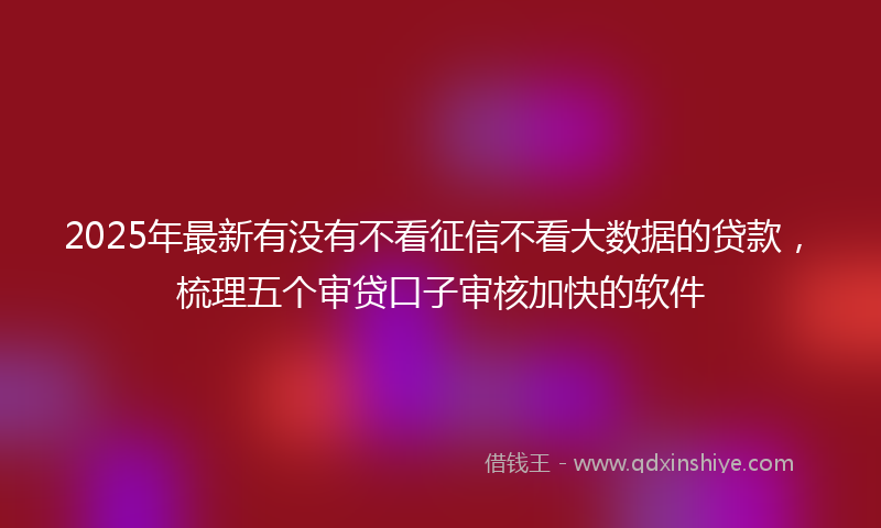 2025年最新有没有不看征信不看大数据的贷款，梳理五个审贷口子审核加快的软件
