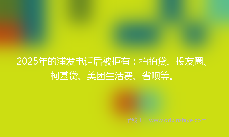 2025年的浦发电话后被拒有：拍拍贷、投友圈、柯基贷、美团生活费、省呗等。