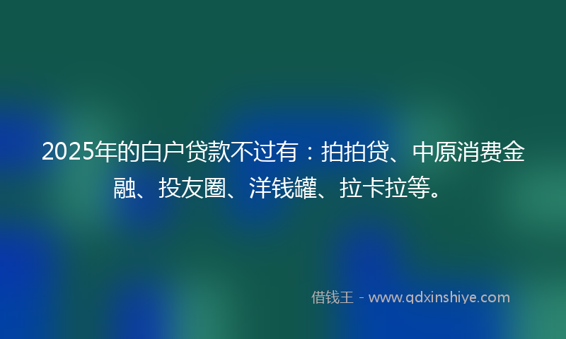 2025年的白户贷款不过有：拍拍贷、中原消费金融、投友圈、洋钱罐、拉卡拉等。