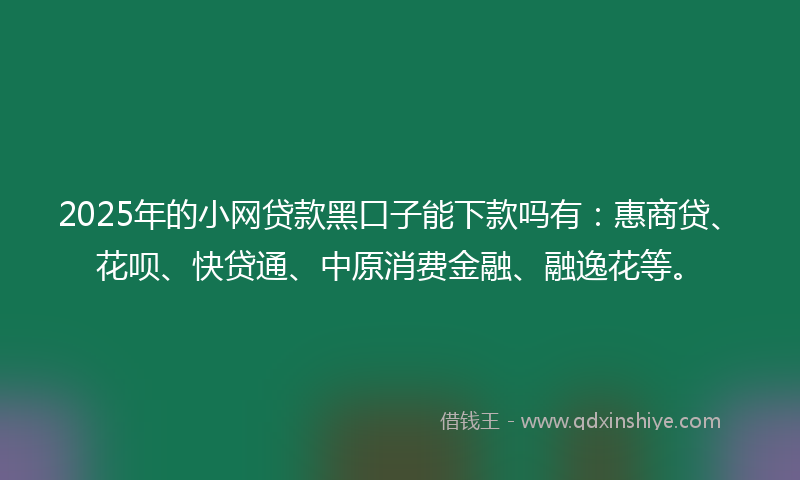 2025年的小网贷款黑口子能下款吗有：惠商贷、花呗、快贷通、中原消费金融、融逸花等。