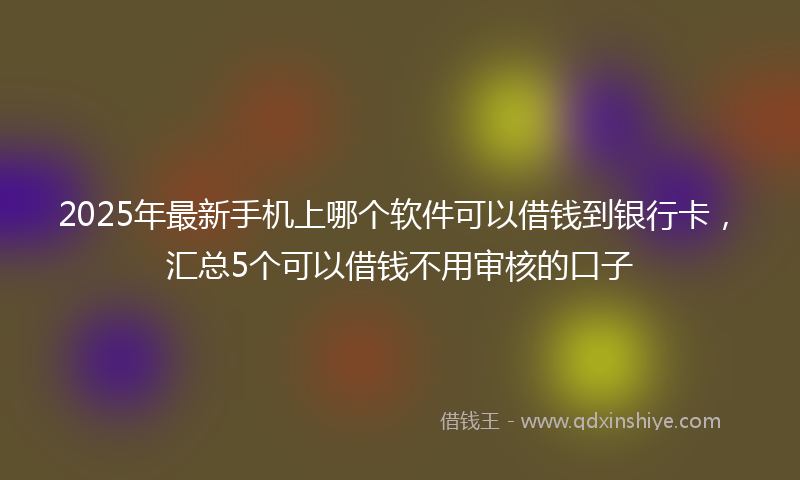 2025年最新手机上哪个软件可以借钱到银行卡，汇总5个可以借钱不用审核的口子