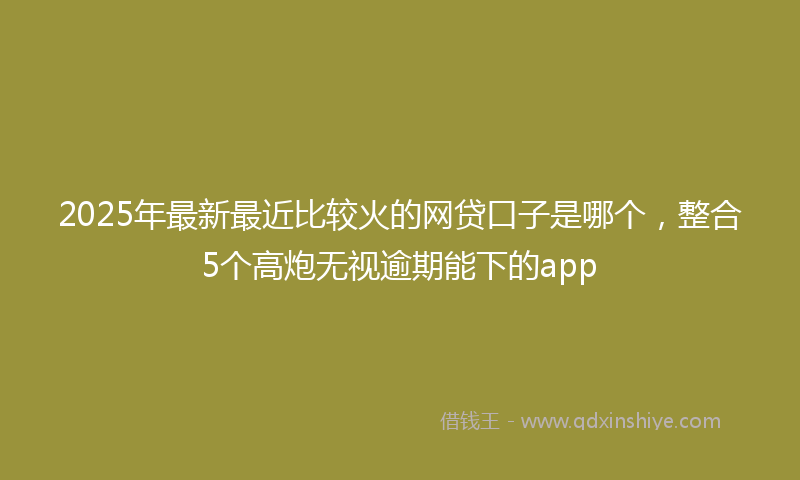 2025年最新最近比较火的网贷口子是哪个，整合5个高炮无视逾期能下的app