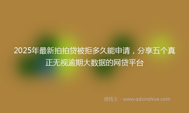 2025年最新拍拍贷被拒多久能申请，分享五个真正无视逾期大数据的网贷平台