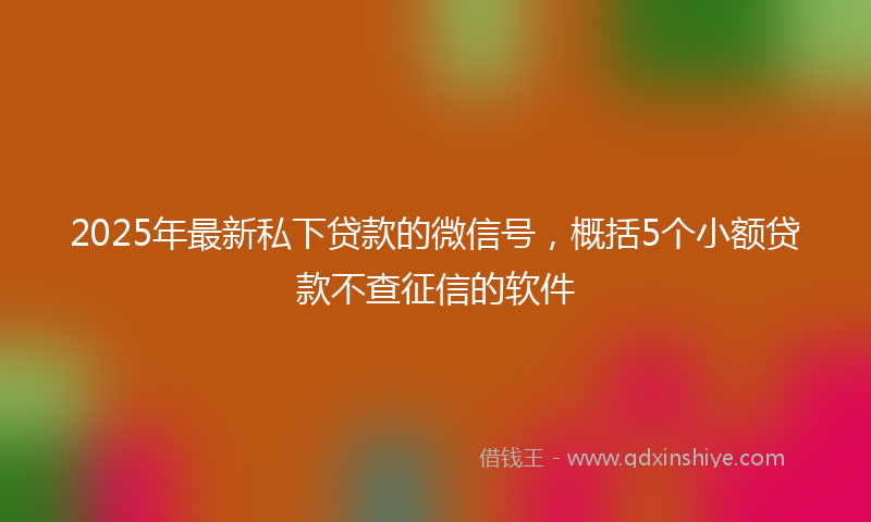 2025年最新私下贷款的微信号，概括5个小额贷款不查征信的软件