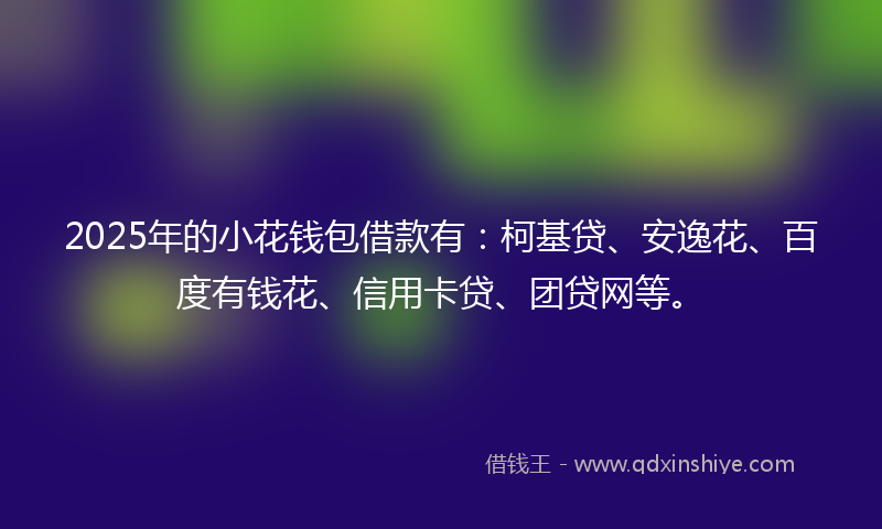 2025年的小花钱包借款有：柯基贷、安逸花、百度有钱花、信用卡贷、团贷网等。