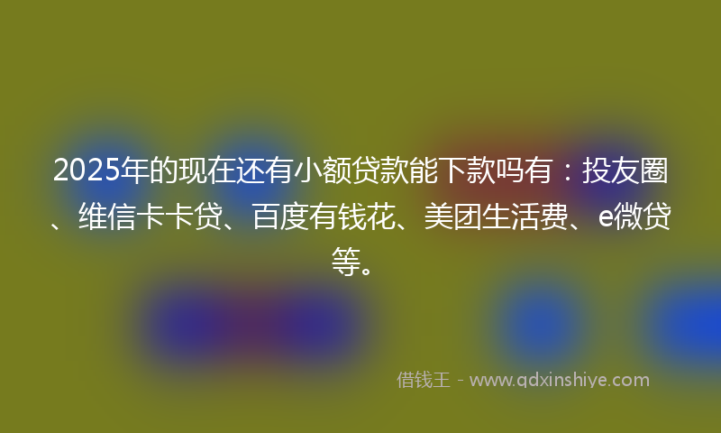 2025年的现在还有小额贷款能下款吗有：投友圈、维信卡卡贷、百度有钱花、美团生活费、e微贷等。
