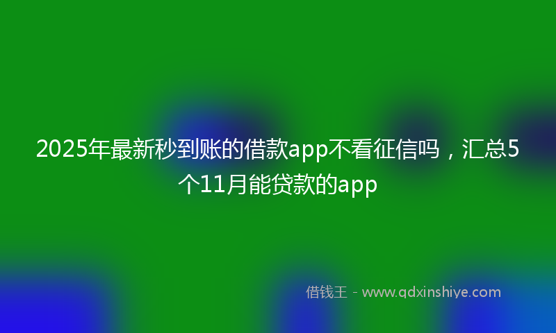 2025年最新秒到账的借款app不看征信吗，汇总5个11月能贷款的app