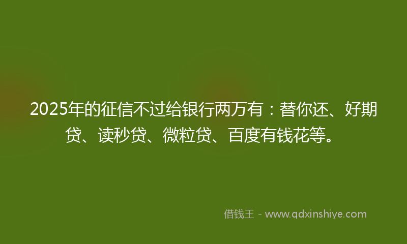 2025年的征信不过给银行两万有：替你还、好期贷、读秒贷、微粒贷、百度有钱花等。