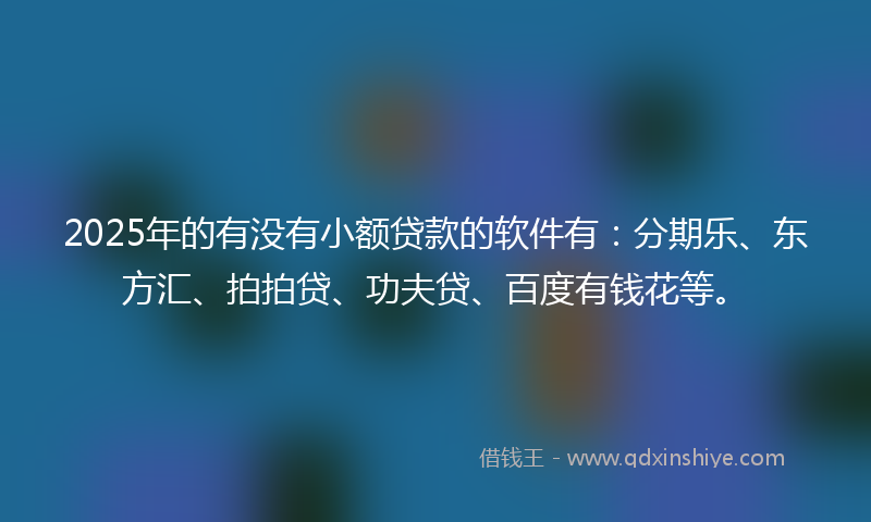 2025年的有没有小额贷款的软件有：分期乐、东方汇、拍拍贷、功夫贷、百度有钱花等。