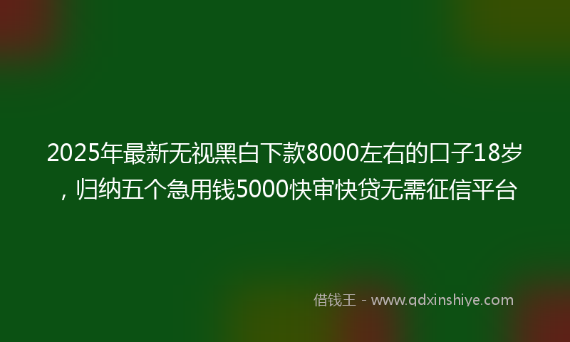 2025年最新无视黑白下款8000左右的口子18岁，归纳五个急用钱5000快审快贷无需征信平台