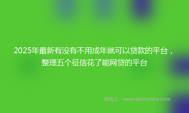 2025年最新有没有不用成年就可以贷款的平台，整理五个征信花了能网贷的平台