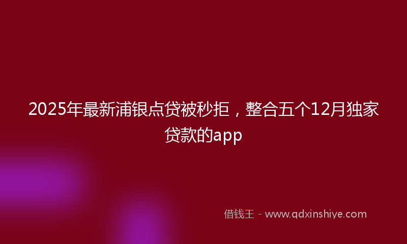 2025年最新浦银点贷被秒拒，整合五个12月独家贷款的app