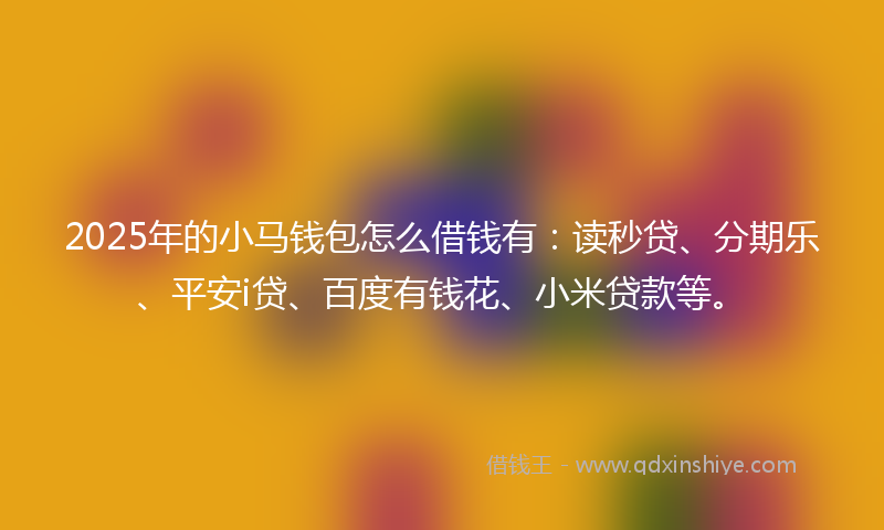 2025年的小马钱包怎么借钱有：读秒贷、分期乐、平安i贷、百度有钱花、小米贷款等。
