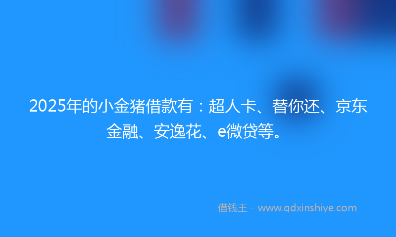 2025年的小金猪借款有：超人卡、替你还、京东金融、安逸花、e微贷等。