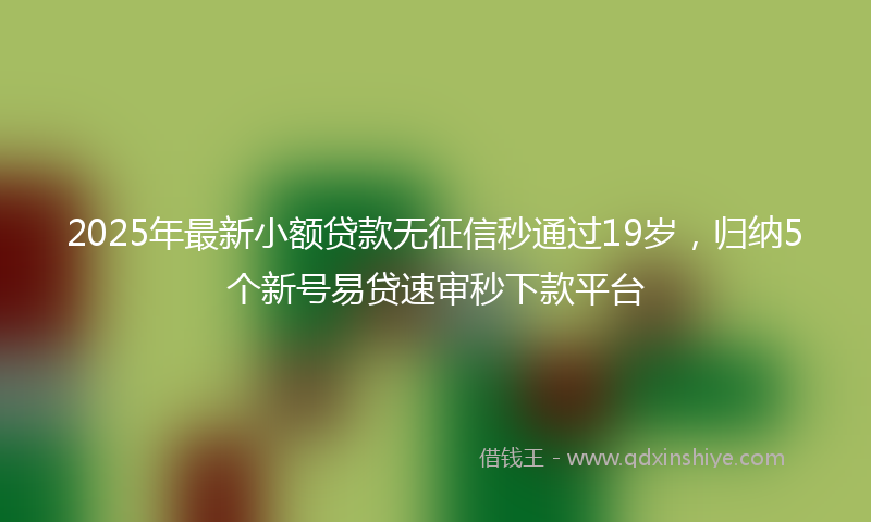 2025年最新小额贷款无征信秒通过19岁，归纳5个新号易贷速审秒下款平台