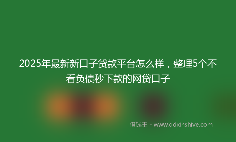 2025年最新新口子贷款平台怎么样，整理5个不看负债秒下款的网贷口子