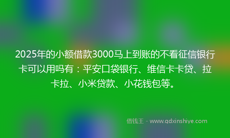 2025年的小额借款3000马上到账的不看征信银行卡可以用吗有：平安口袋银行、维信卡卡贷、拉卡拉、小米贷款、小花钱包等。