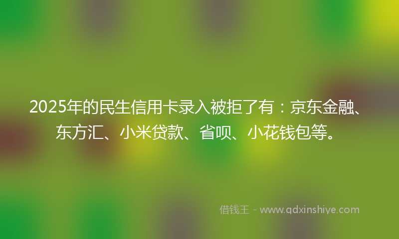 2025年的民生信用卡录入被拒了有：京东金融、东方汇、小米贷款、省呗、小花钱包等。