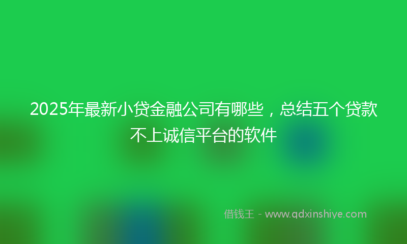 2025年最新小贷金融公司有哪些，总结五个贷款不上诚信平台的软件
