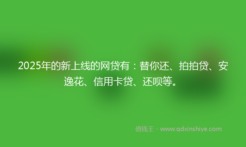 2025年的新上线的网贷有：替你还、拍拍贷、安逸花、信用卡贷、还呗等。