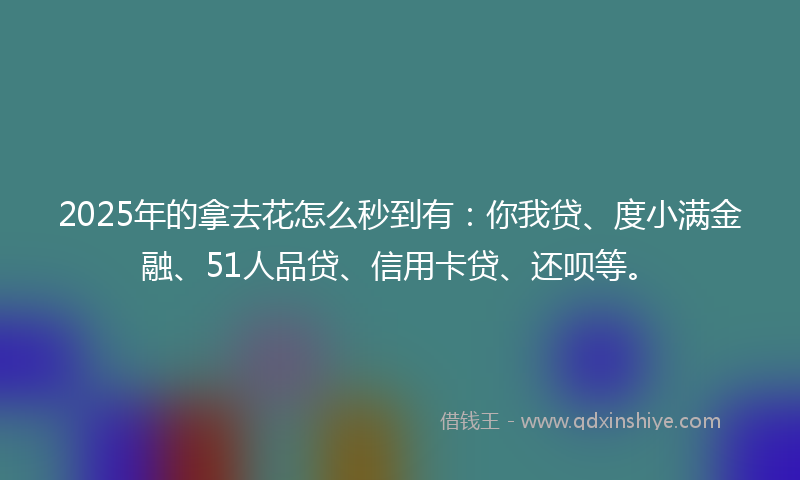 2025年的拿去花怎么秒到有：你我贷、度小满金融、51人品贷、信用卡贷、还呗等。