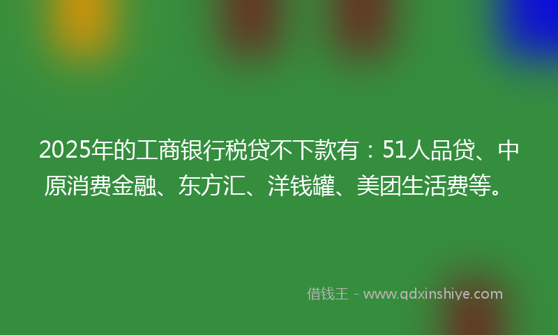 2025年的工商银行税贷不下款有：51人品贷、中原消费金融、东方汇、洋钱罐、美团生活费等。
