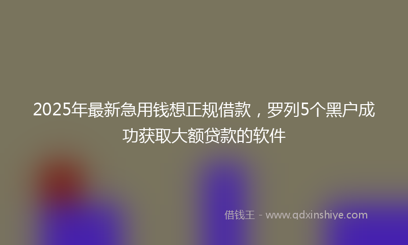 2025年最新急用钱想正规借款，罗列5个黑户成功获取大额贷款的软件